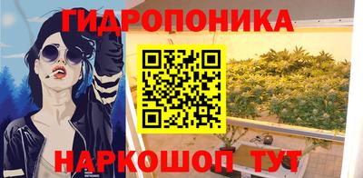 хмурый Гатчина