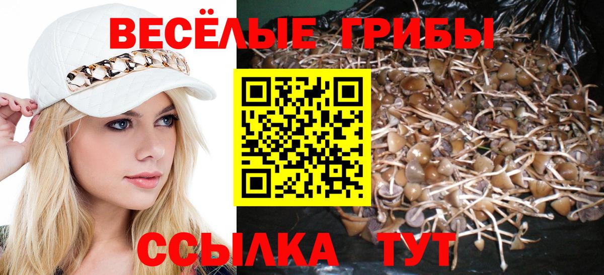 Новоуральск  Псилоцибиновые грибы Psilocybe  Вход с VPN 